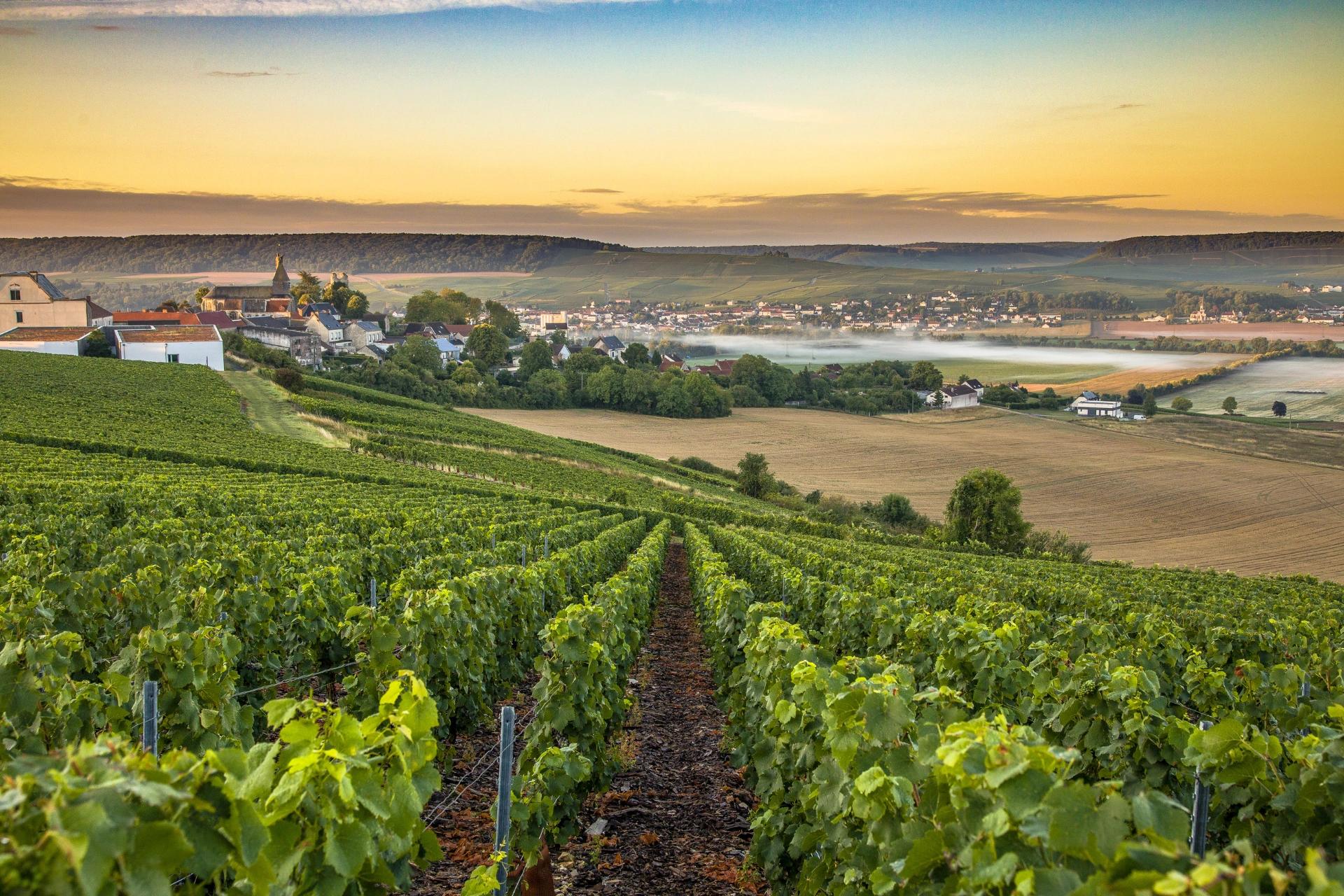 Organisation de voyage en groupe en Champagne